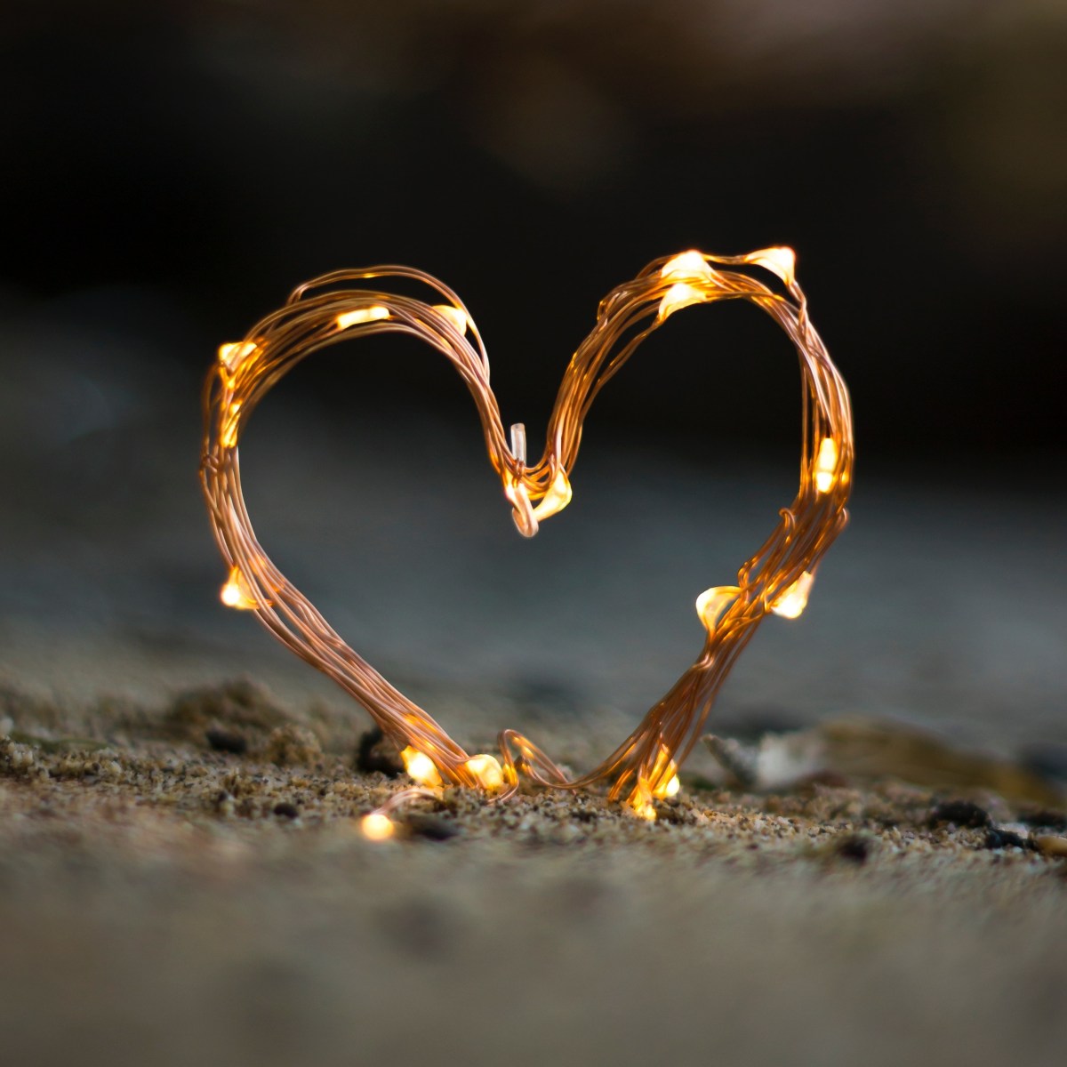 A Poet’s Online Dating Profile