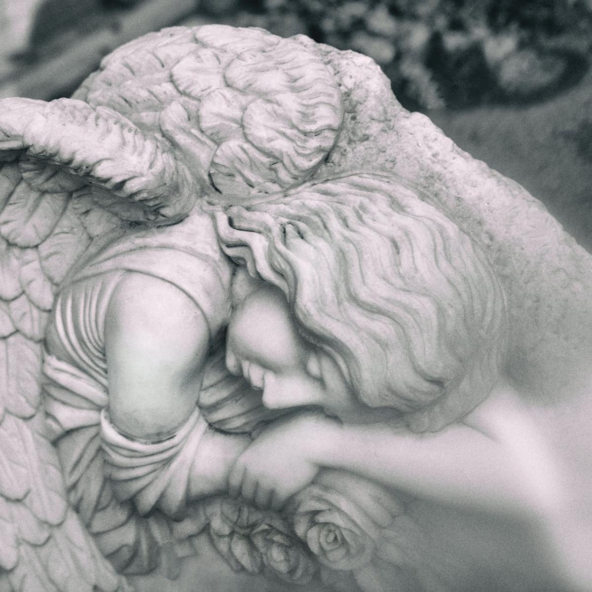 I Know a Wall When I See One