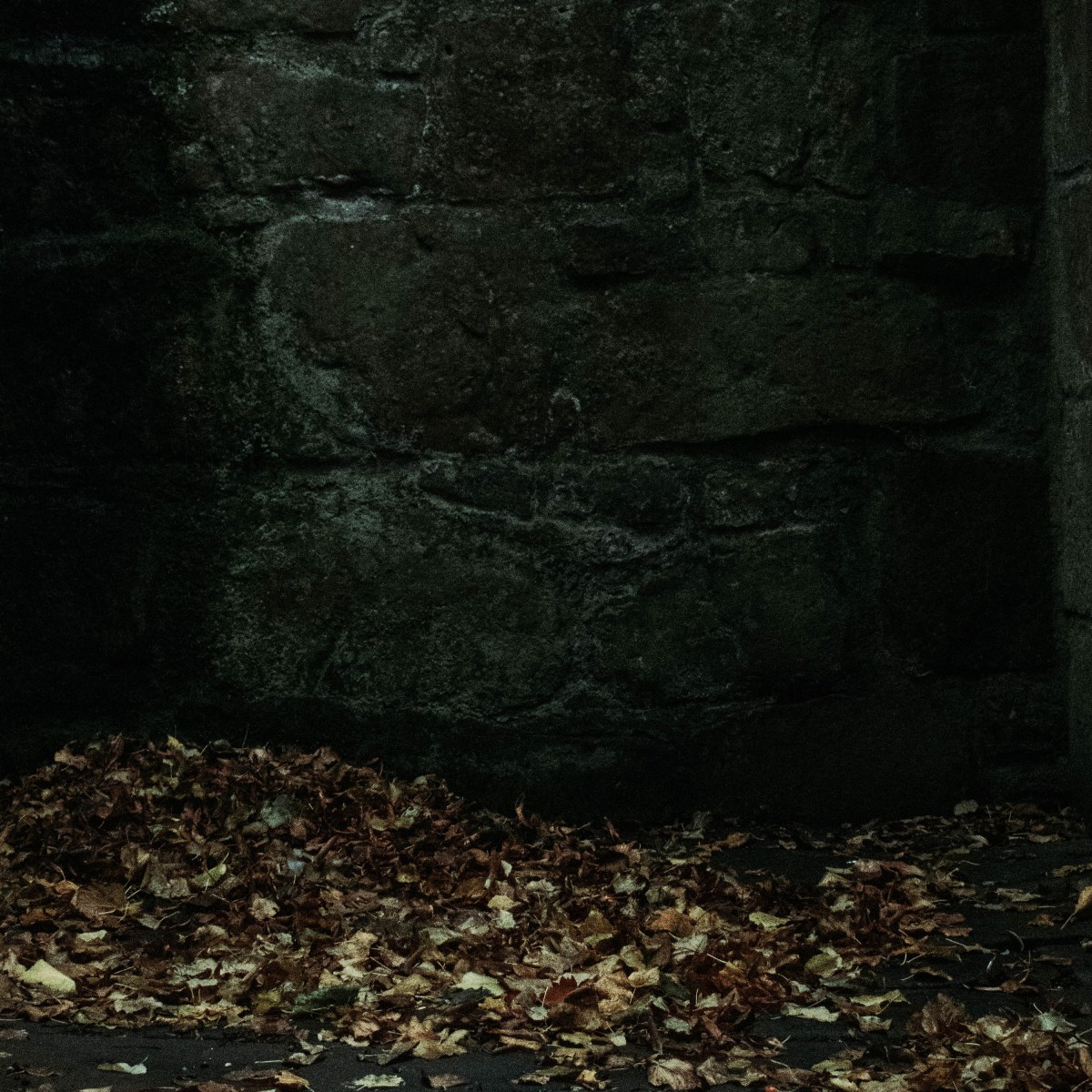 Eight Reasons for Silence