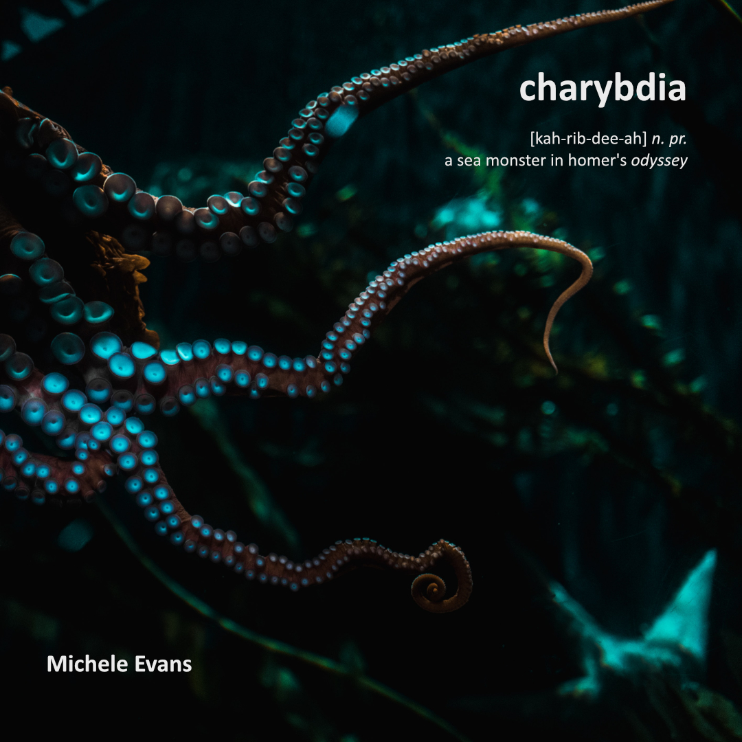 Slide Deck includes the text from the poem, author bio, and image credits. All this text is in the body of the page for accessibility. Images are dark sea and nature scenes.