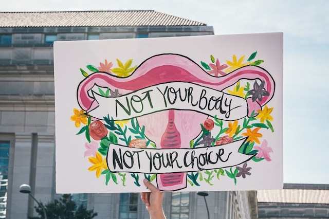 protest sign with women reproductive system and flowers. Text on poster: Not your body, Not your choice.