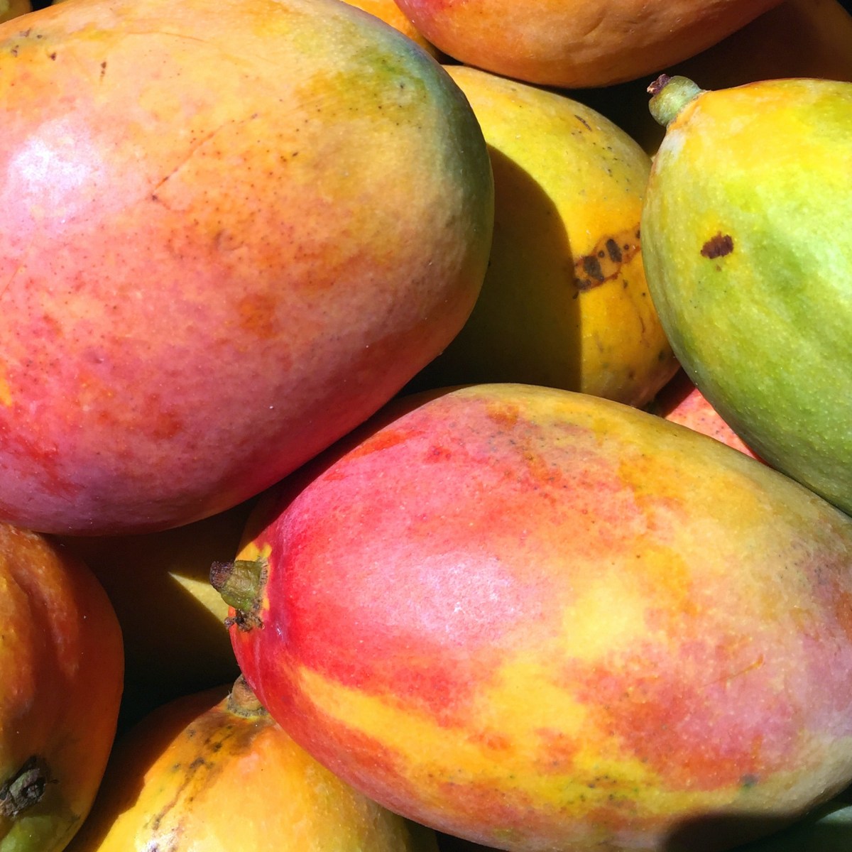 Mango Pickle in Summer