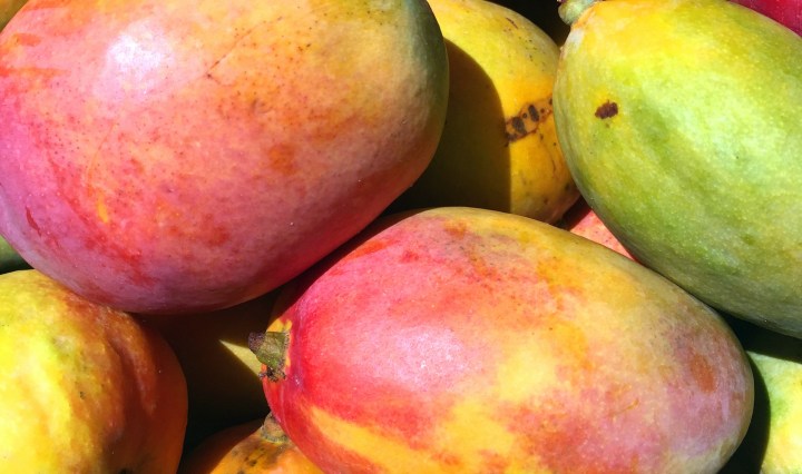 Mangos