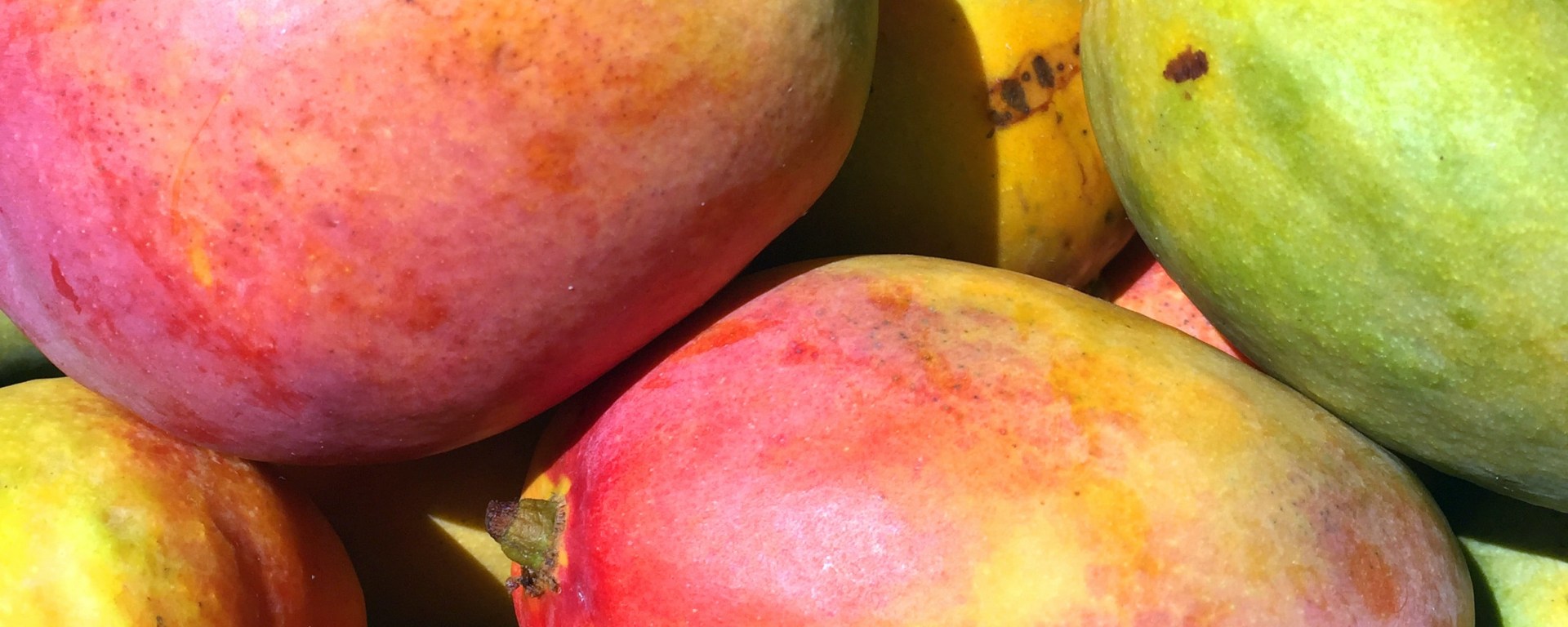 Mangos