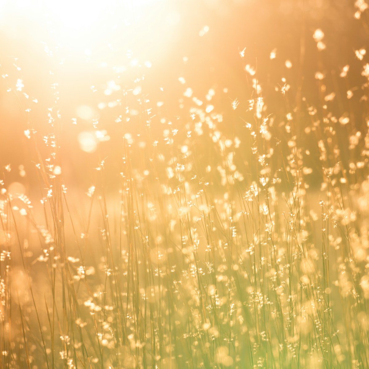 Sunrise In El Salvador On My Birthday